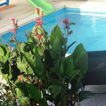 Guest house Relax Martina Ceske Budejovice